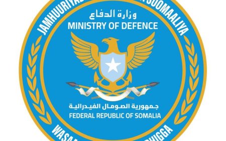 مقتل 25 إرهابيا في غارة جوية نفذتها القوات الدفاعية الصومالية في إقليم هيران