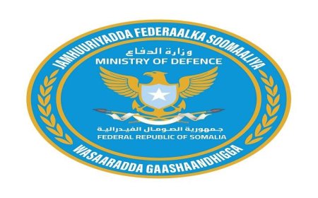 القوات الصومالية تحرز تقدمًا كبيرًا بمقتل 25 عنصراً من مليشيات الشباب الإرهابية في إقليم هيران