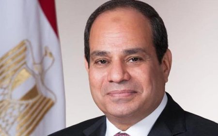 الرئيس السيسي يعود إلى مصر بعد زيارة رسمية ناجحة إلى تنزانيا