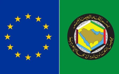 بيان مشترك يعزز التعاون الأوروبي الخليجي حول مضيق هرمز وحرية الملاحة