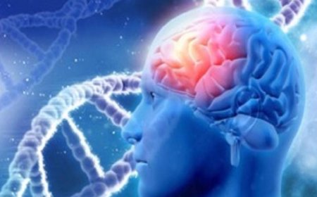 أطعمة تعزز صحة الدماغ وتقي من مرض الخرف