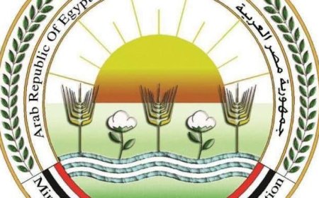 متحدث وزارة الزراعة يحذر من تأثير الشائعات حول المنتجات الزراعية على الاقتصاد الوطني