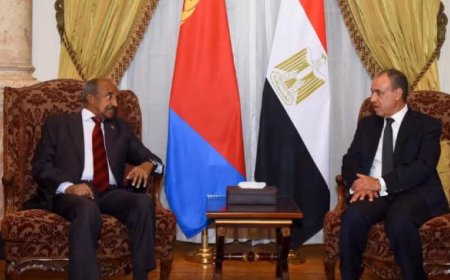 وزير الخارجية المصري يعبر عن دعم بلاده التام لإريتريا للحفاظ على سيادتها