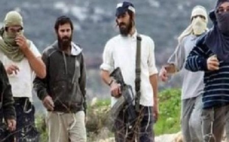 مستوطنون يعتدون على عدة محافظات في الضفة الغربية استمرارًا لأعمال العنف