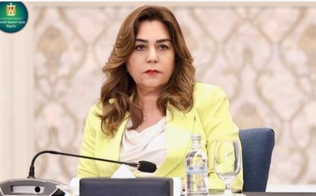 منال عوض تكشف عن إعلان إسطنبول كخارطة طريق لتعزيز التعاون البيئي بين الدول الثماني النامية