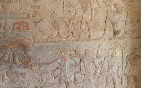 البعثة الأثرية المصرية تكتشف ثلاث مقابر صخرية من عصر الدولة الحديثة في سقارة