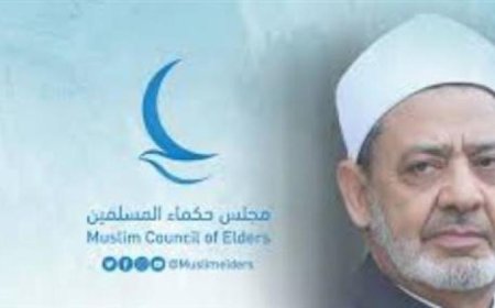 12 سنة من الإنجازات في تعزيز الحوار وصناعة السلام بمجلس حكماء المسلمين