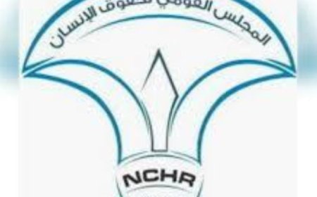 رئيس المجلس القومي لحقوق الإنسان يتقبل اعتذار الأمين العام ويقرر عدم الاستمرار في منصبه