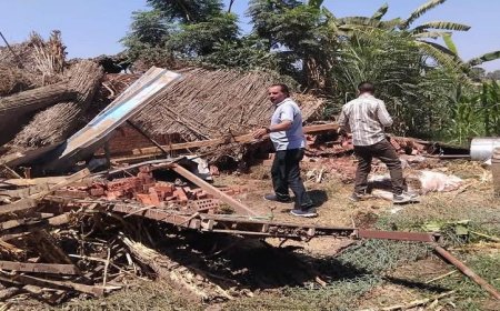 حملات موسعة لإزالة التعديات والبناء المخالف في المنوفية