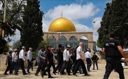مستوطنون يهاجمون المسجد الأقصى تحت حماية قوات الاحتلال الإسرائيلي