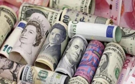 الوزارة الداخلية تكشف عن قضايا كبيرة في اتجار غير مشروع بالنقد الأجنبي تصل قيمتها إلى 5 ملايين جنيه