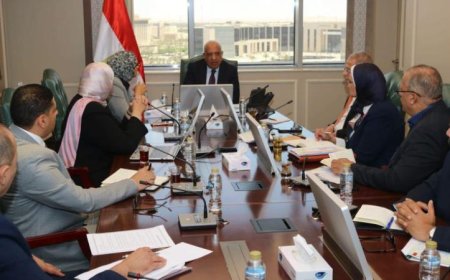 وزير الكهرباء يتعاون مع محافظ الوادي الجديد لتعزيز استخدام الطاقات المتجددة