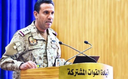 تحالف دعم الشرعية في اليمن يعلن عن حماية سفن التجارة البحرية في مضيق باب المندب