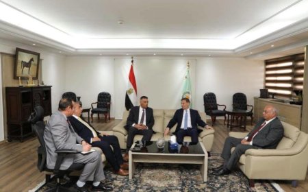 وزير الزراعة ومحافظ جنوب سيناء يستكشفان فرص توسيع زراعة النخيل والزيتون