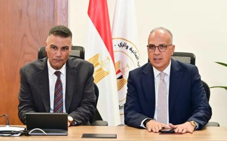 وزير الري يناقش مع محافظ جنوب سيناء تطورات مشروعات الموارد المائية في المحافظة