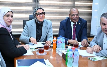 رئيس الاستشعار عن بعد يناقش مع الشركاء اليابانيين مشروع استدامة الواحات