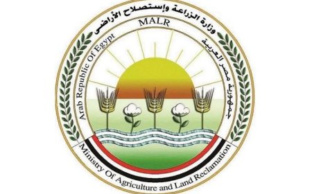 الزراعة تضبط 1400 عبوة مبيدات غير مطابقة وتقدم الواقعة للنيابة العامة