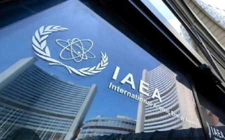 وكالة الطاقة العالمية تكشف عن سحب الدول الأعضاء 290 مليون برميل نفط من احتياطياتها الطارئة