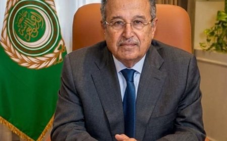 فهمى يعبر عن دعمه القوي للسعودية في التصدي لتهديدات ميليشيا الحوثي