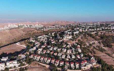 هولندا تساند أيرلندا وبلجيكا في حظر استيراد منتجات المستوطنات الإسرائيلية
