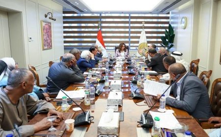وزيرة التنمية المحلية تناقش احتياجات المواطنين الخدمية مع أعضاء النواب والشيوخ
