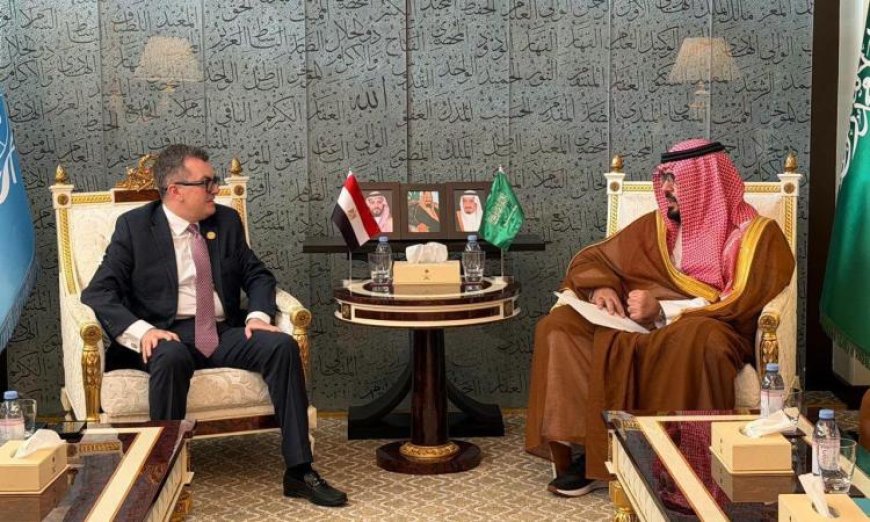 رستم ونظيره السعودي يركزان على تعزيز الحوار التنموي لتعميق الشراكة الاقتصادية