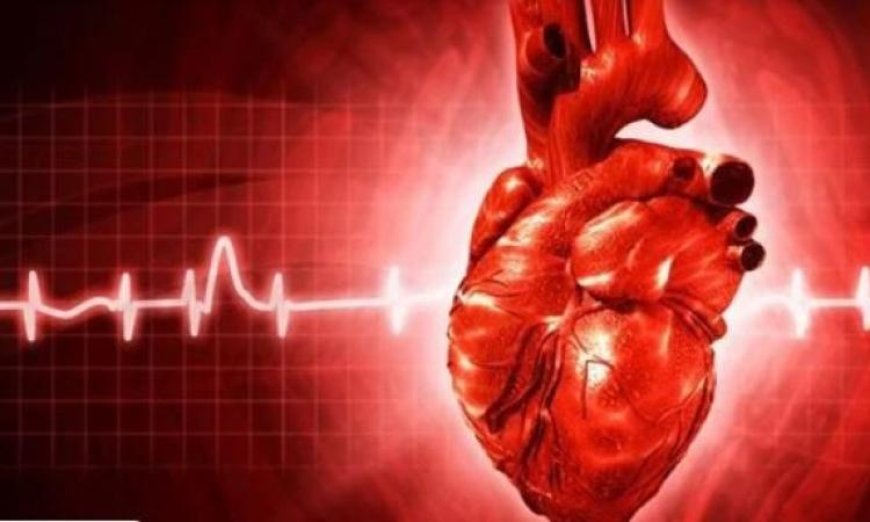 دراسة جديدة تكشف تأثير الضوضاء الخطير على صحة القلب