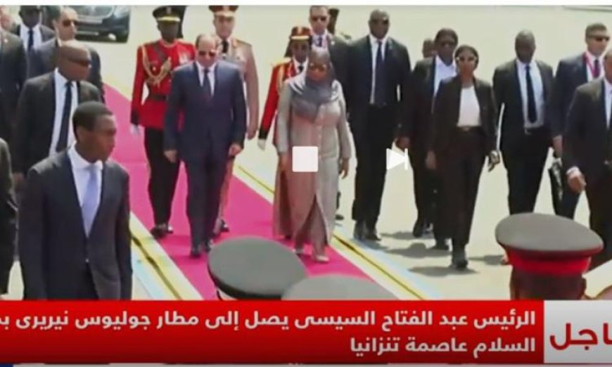 الرئيس السيسي يبدأ زيارة رسمية لتنينزيا لتعزيز التعاون الثنائي