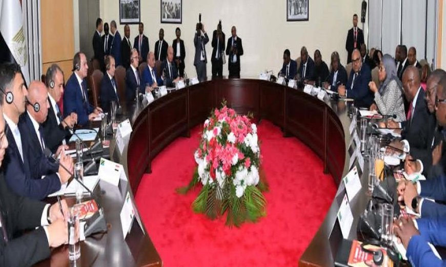 الرئيس السيسي يدعو لتعزيز الشراكات الاقتصادية بين مصر وتنزانيا