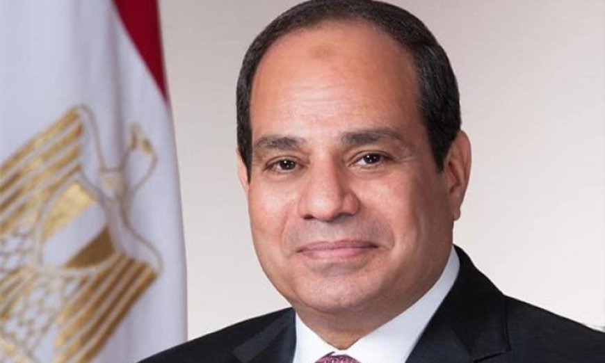 الرئيس السيسي يعود إلى مصر بعد زيارة رسمية ناجحة إلى تنزانيا