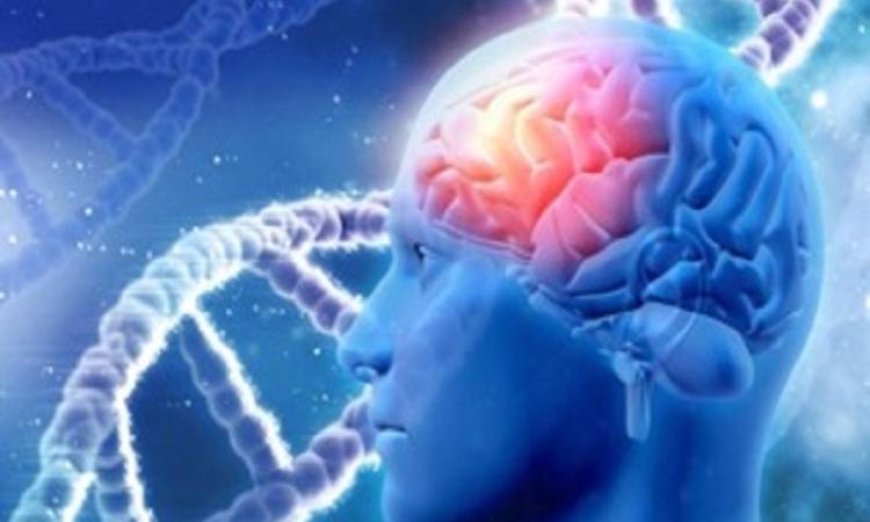 أطعمة تعزز صحة الدماغ وتقي من مرض الخرف