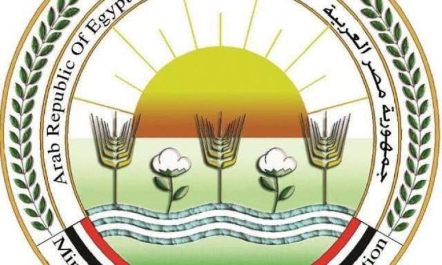 متحدث وزارة الزراعة يحذر من تأثير الشائعات حول المنتجات الزراعية على الاقتصاد الوطني