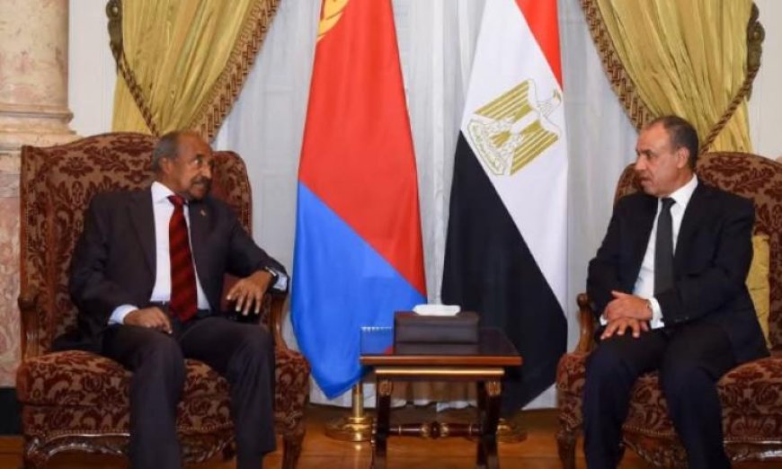 وزير الخارجية المصري يعبر عن دعم بلاده التام لإريتريا للحفاظ على سيادتها