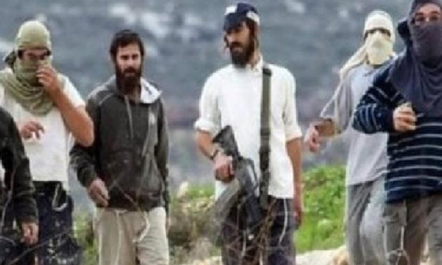 مستوطنون يعتدون على عدة محافظات في الضفة الغربية استمرارًا لأعمال العنف