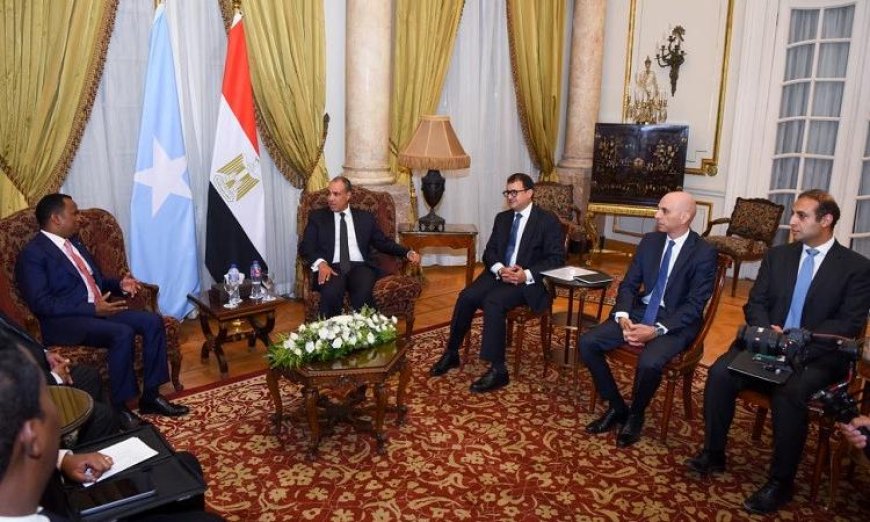 وزير الخارجية المصري يعبر عن دعم مصر الثابت لوحدة وسيادة أراضي الصومال