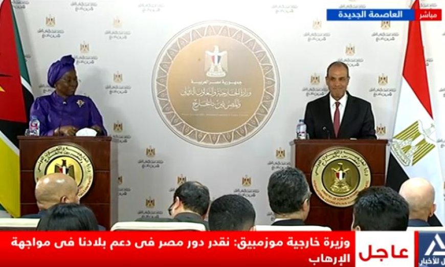 وزير الخارجية يؤكد أهمية الحلول السلمية في تسوية النزاعات الأفريقية