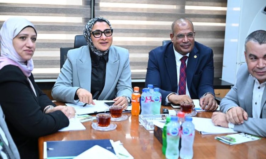 رئيس الاستشعار عن بعد يناقش مع الشركاء اليابانيين مشروع استدامة الواحات