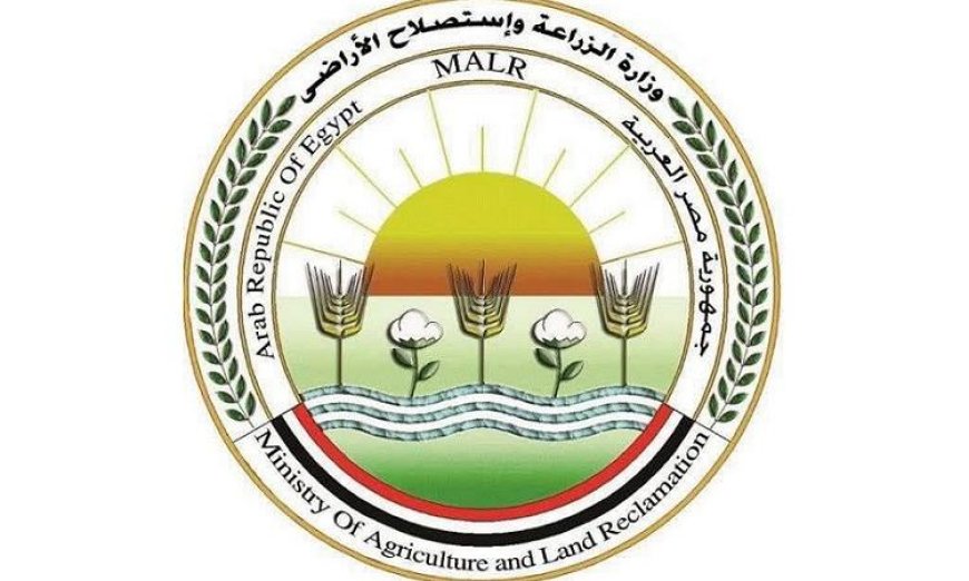 الزراعة تضبط 1400 عبوة مبيدات غير مطابقة وتقدم الواقعة للنيابة العامة