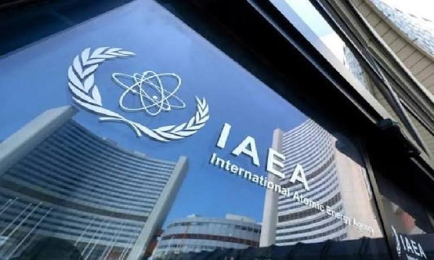 وكالة الطاقة العالمية تكشف عن سحب الدول الأعضاء 290 مليون برميل نفط من احتياطياتها الطارئة