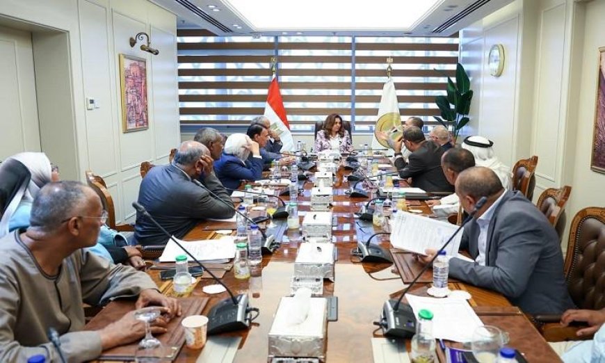 وزيرة التنمية المحلية تناقش احتياجات المواطنين الخدمية مع أعضاء النواب والشيوخ