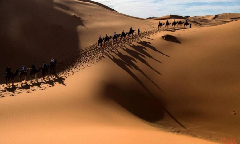 تفسير حلم الصحراء في المنام لكبار المفسرين