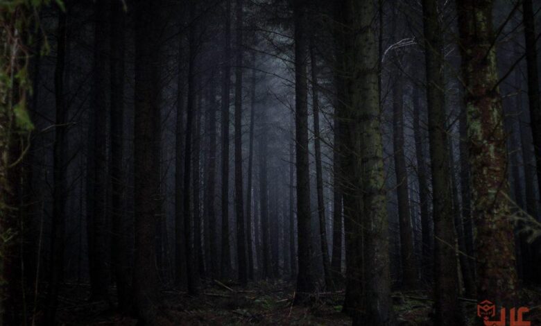 تفسير رؤية الغابة المظلمة في المنام