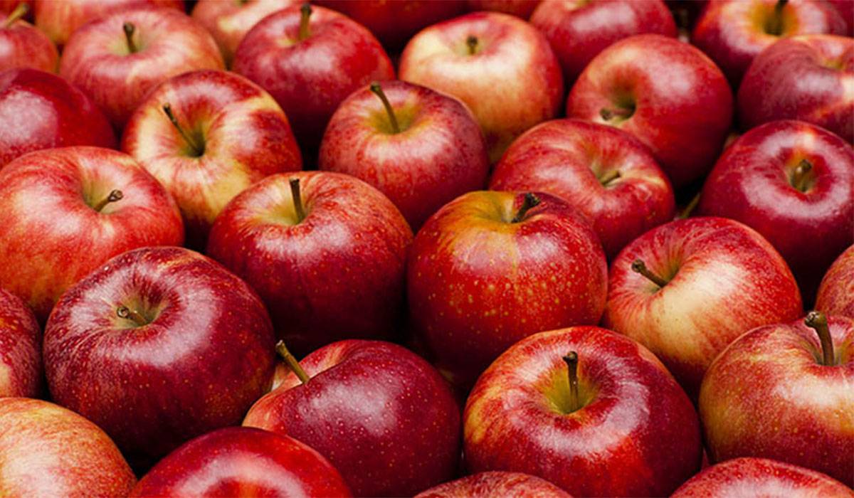 لماذا تحلم بإعطاء التفاح في المنام