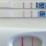 اختبار التبويض المنزلي والحمل بولد