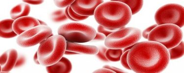 نسبة كريات الدم الحمراء في البول