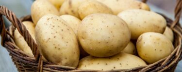 تفسير حلم البطاطس النية في المنام