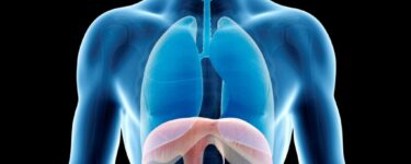 علاج الغازات الصدرية وما هي أنواعها (استرواح الصدر)