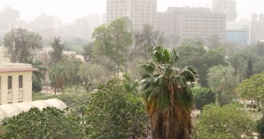 الأرصاد: ارتفاع بدرجات الحرارة ورياح مثيرة للرمال.. والعظمى بالقاهرة 25 درجة
