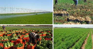 "الزراعة": مجمع الأسمدة الأزوتية يخدم استراتيجية الدولة فى التوسعات الزراعية