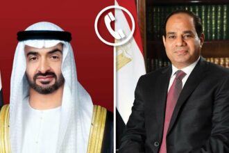الرئيس السيسي يهنئ نظيره الإماراتي على التعيينات القيادية الجديدة